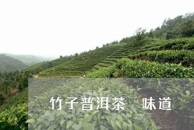 竹子普洱茶 味道/2023041037260